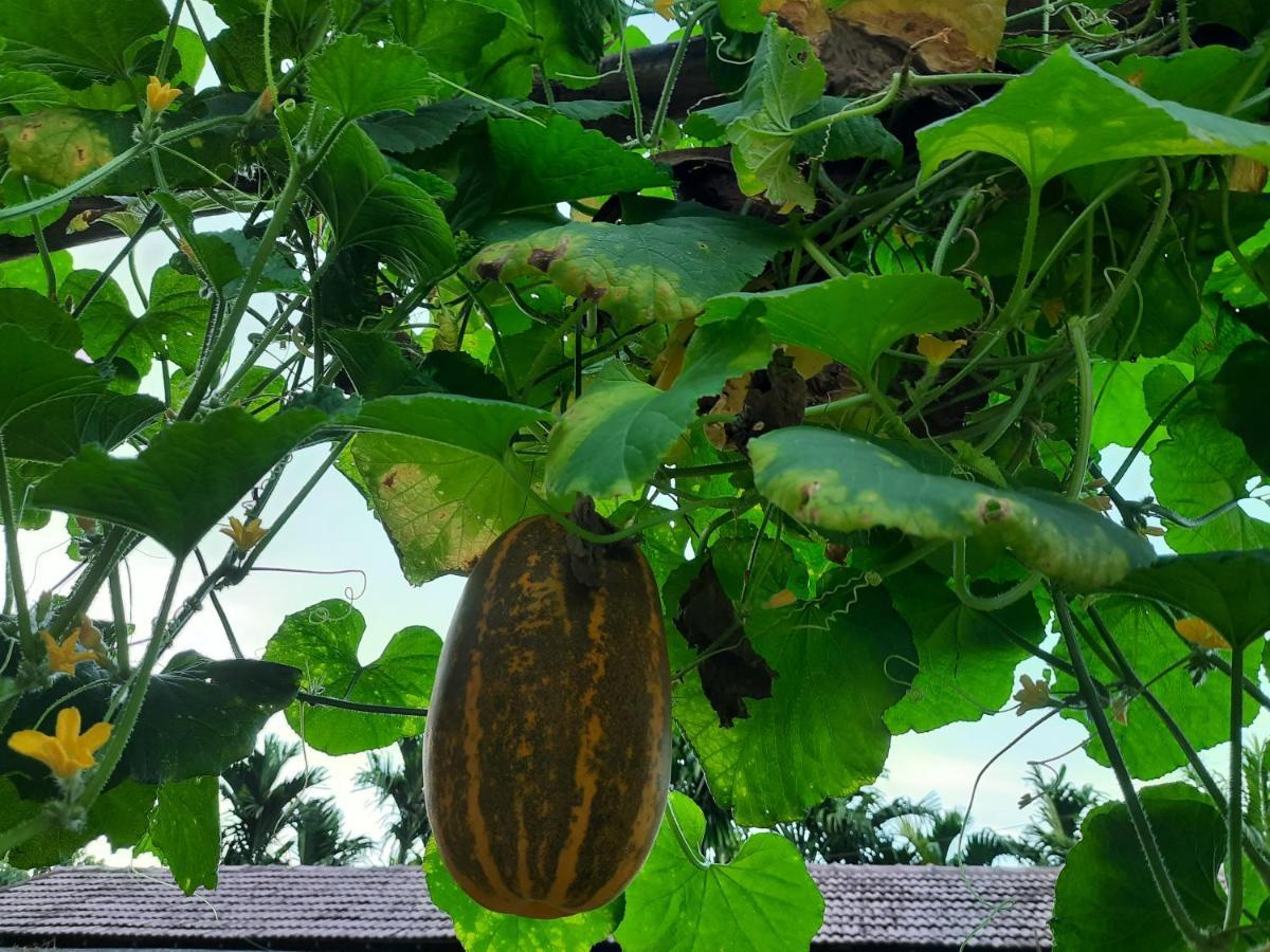 Jasmine Land Homestay Udupi Luaran gambar